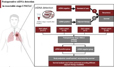 Postoperative ctDNA detection predicts relapse but has limited effects in guiding adjuvant therapy in resectable stage I NSCLC